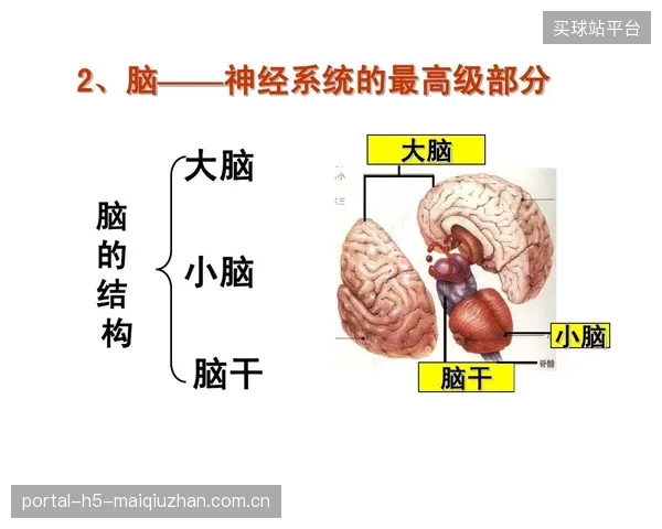 城市“大脑”与场馆“小脑”的接口不通，正在造成体育赛事安保的重复投资
